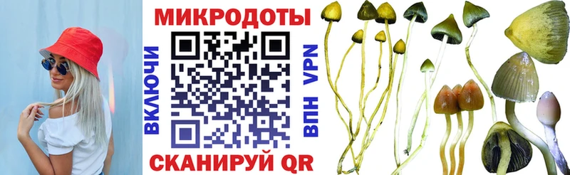 где купить наркоту  Астрахань  Галлюциногенные грибы Psilocybe 