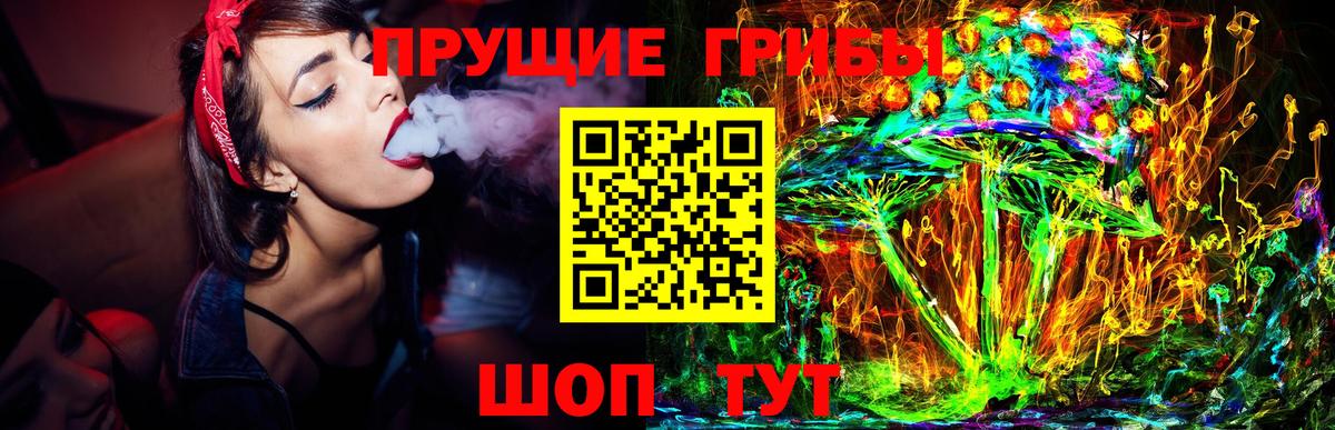 Псилоцибиновые грибы Psilocybe Астрахань